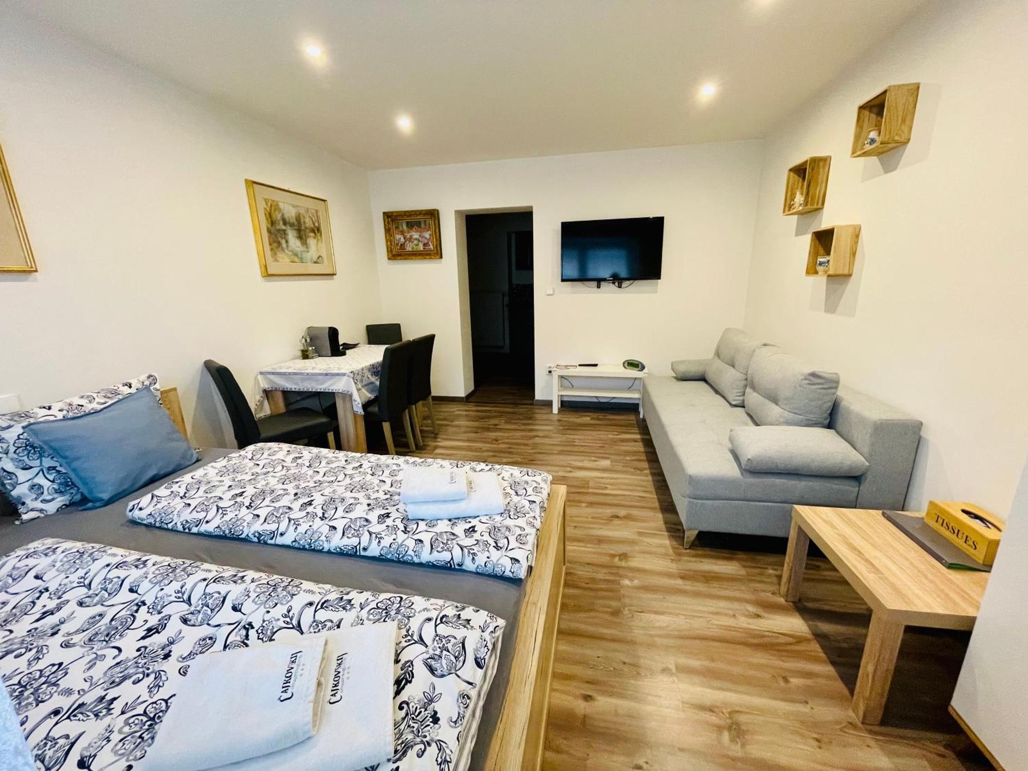 Apartment Cajkovskij Brno-jih Brno