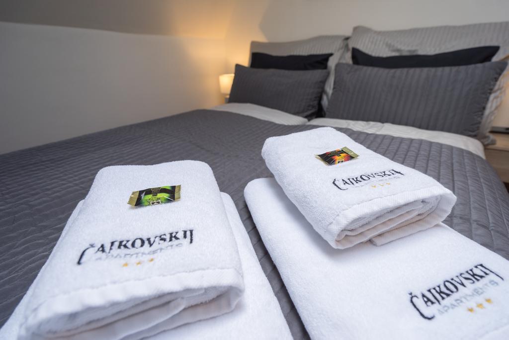 Cajkovskij Brno-jih Apartamento Brno