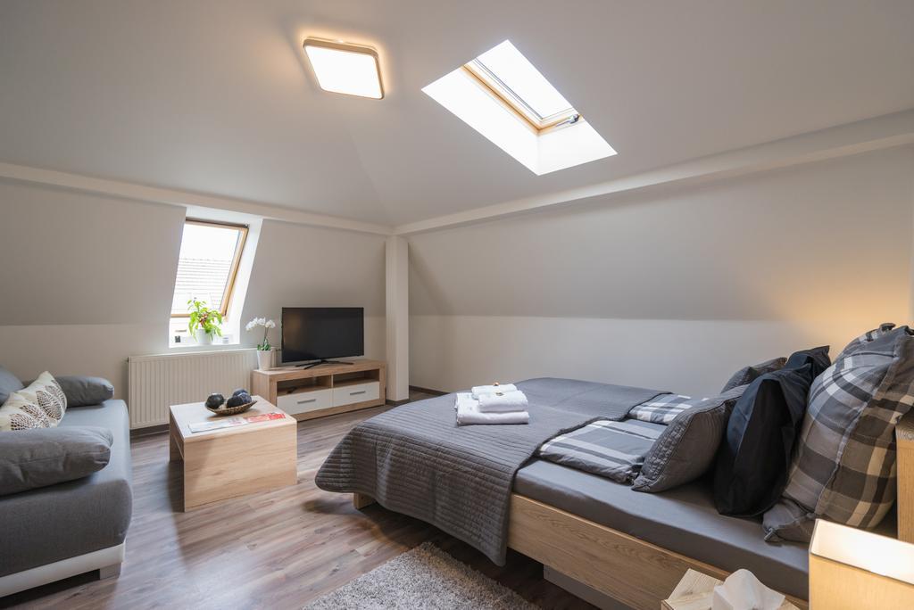 Cajkovskij Brno-jih Apartment *