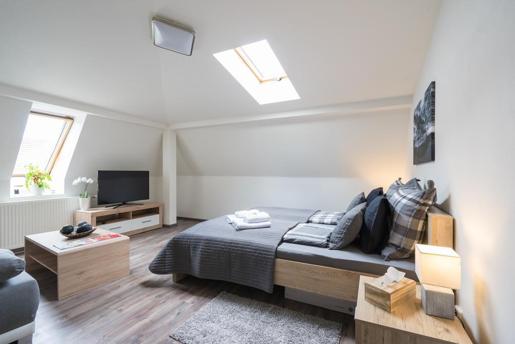 Cajkovskij Brno-jih Apartment Brno